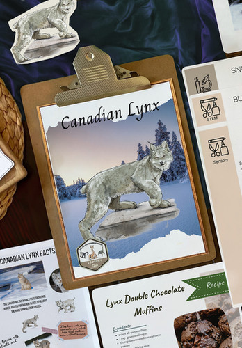 Canadian Lynx Nature Study | FTL of Homeschooling