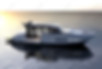 Kingfisher_JYL Design.jpg