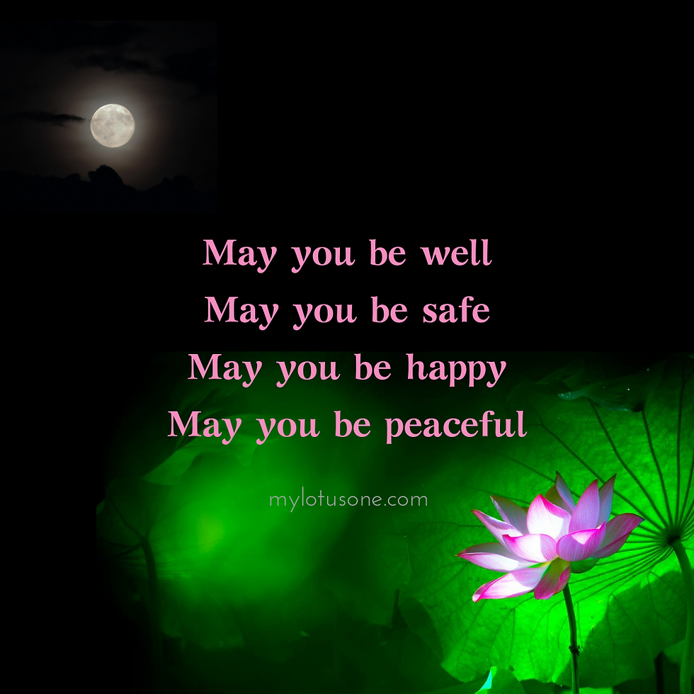 Picture quotes of may you be well, may you be safe, may you be happy, and may you be peaceful under the moon light with a white and pink lotus flower and green leaf, by mylotusone.com