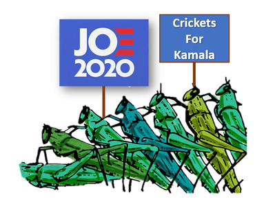 Record Number of Crickets Tune In For DNC Convention