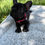 Thumbnail: Black female - Minnie