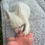 Thumbnail: Fluffy pied pink male - Silas