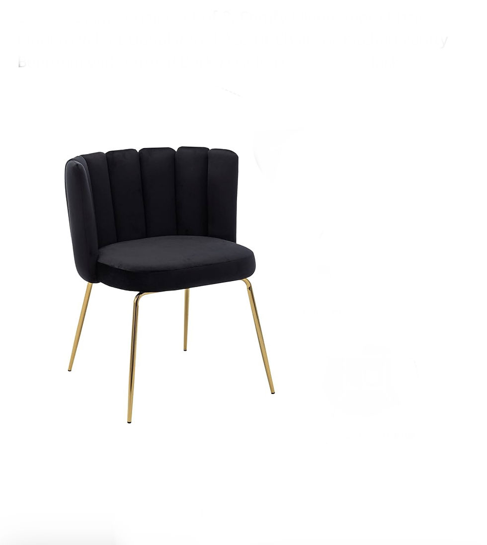 Modern Velvet  Black Dinning Chairs