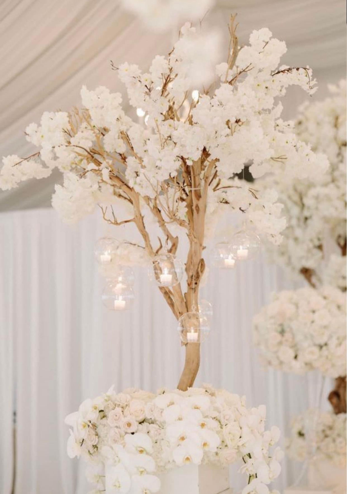 Manzanita Tree Centerpiece
