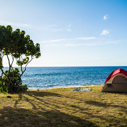 Beach Bums- Shore Camping