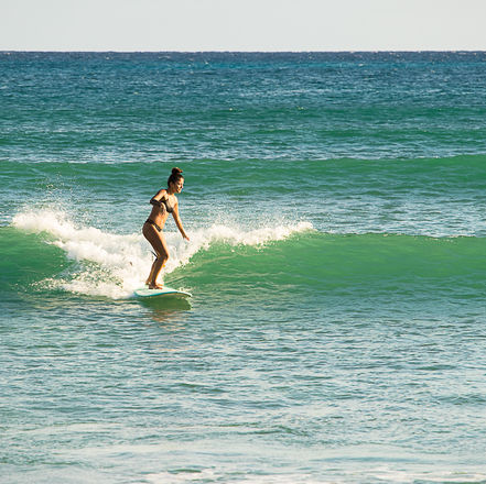 Island Life
