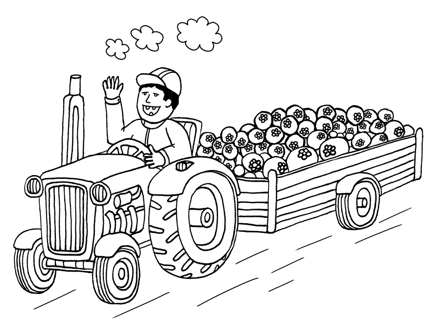 New Teddylandia | Farmer