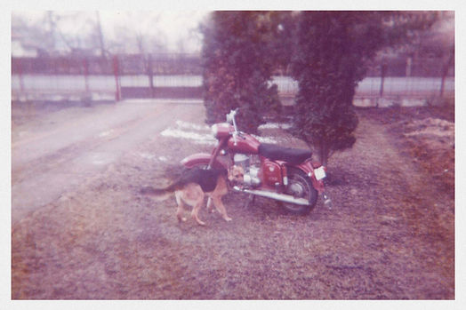 My Dog Dusty and My Motorcycle