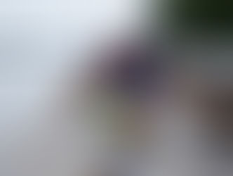 A Sunday morning paddle to Rideau Falls !