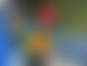 Second Week of Sail Training