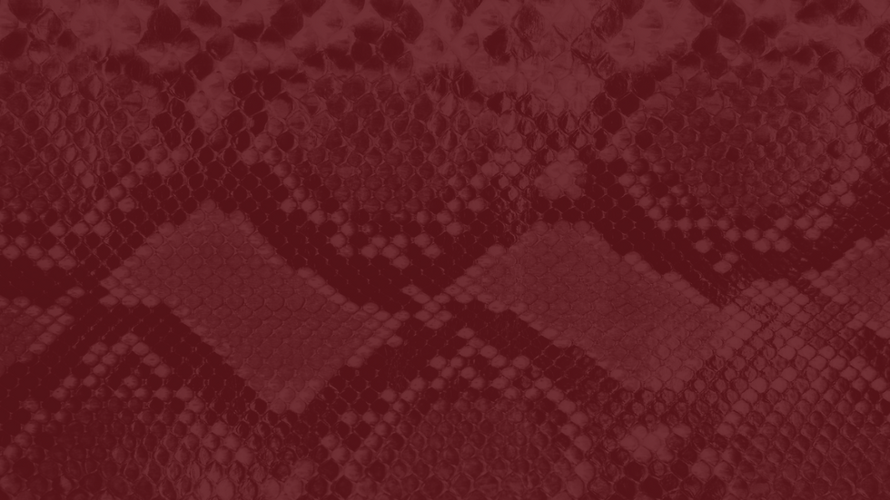Celina Epp_20241008_213634_0000.png