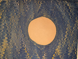 PXL_20251124_183000868