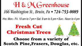 H & M Greenhouse - Bruin, PA - Fresh Cut Christmas Trees