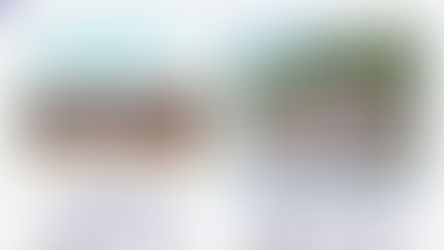 Primary Health - Embracing Excellence in Healthcare