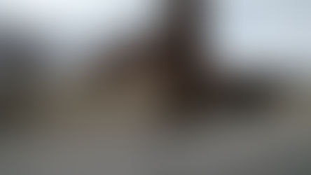 Immaculate Conception Catholic Church