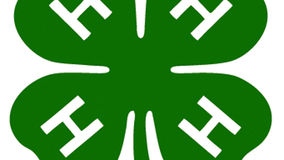 4-H logo