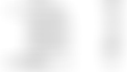 Legal Notice: Perry Twp. Auditors Report 2025