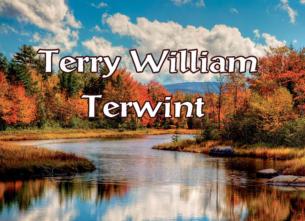 Terry William Terwint