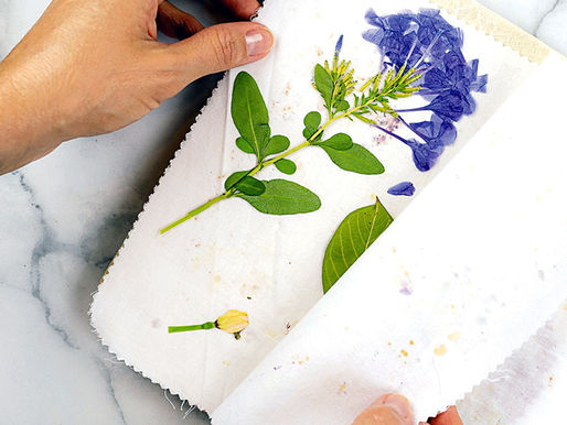 Press Flowers
