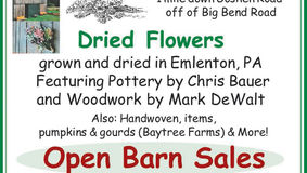 Hedin Flower Farm