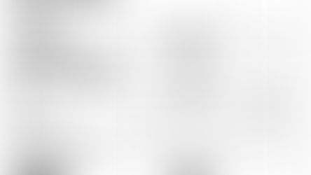 Beaver Twp. Auditor Report