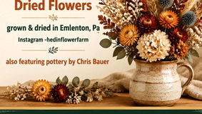Hedin Flower Farm - Goshen Rd., Emlenton, PA