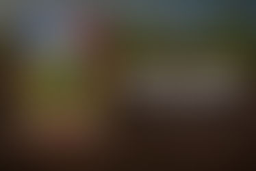 Clarion Conservation District: Roots So Deep