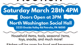 Spring Auction - March 28th - 4 PM - NW Social Hall - Doors open at 3