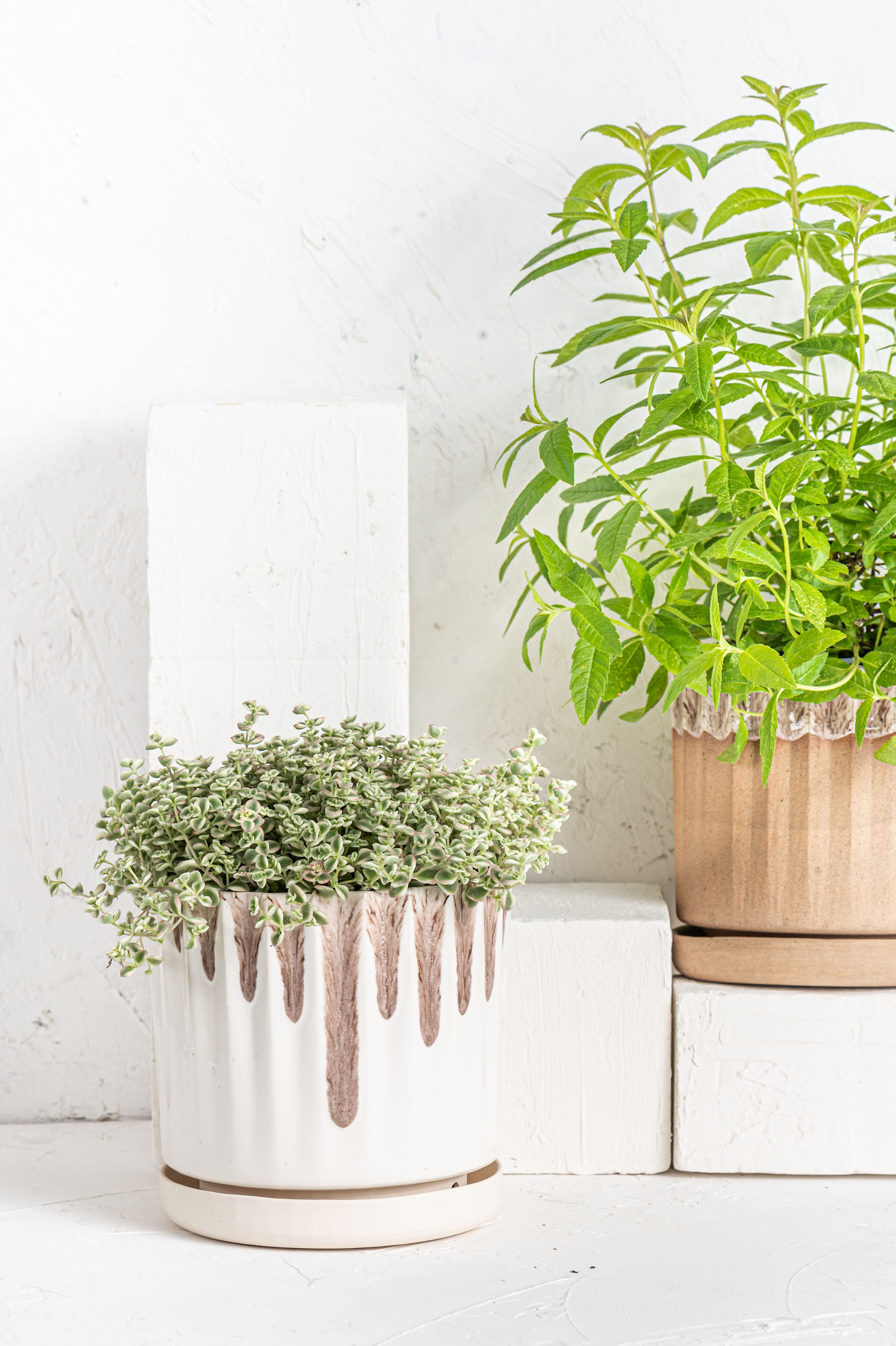 עציץ גדול עבודת יד