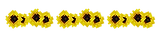 Bandeau tournesols web.png