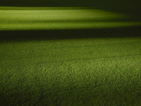 Cowboy Grass_edited.jpg