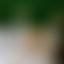 13. The basic myth of sitting upright.