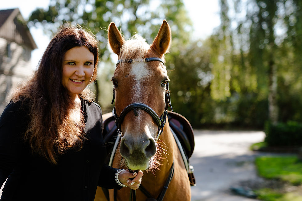 Reiten Hof Köhne