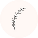 Beirut Boutique (7).png
