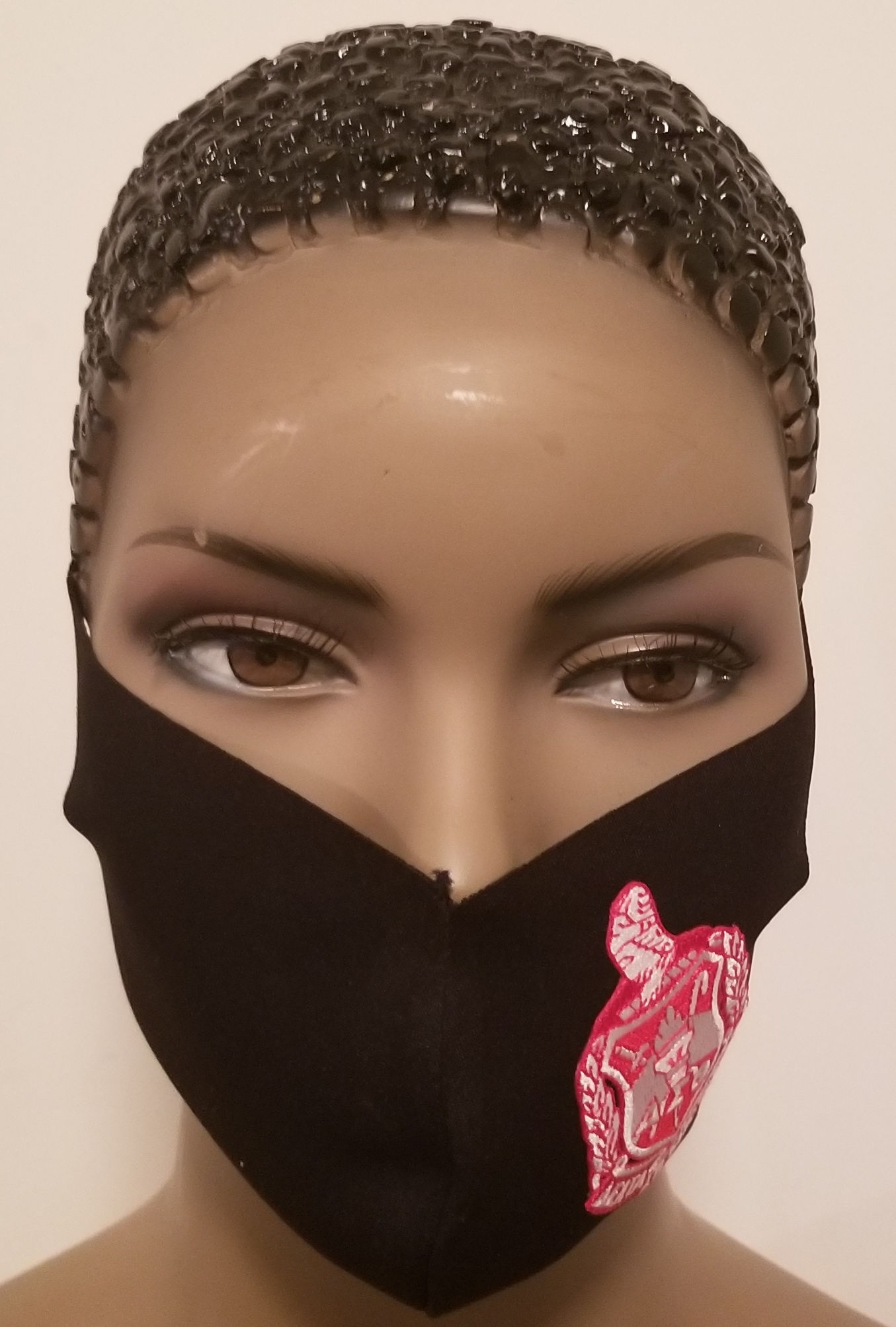 Delta Shield Face Mask