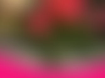 Gratitude & Appreciation