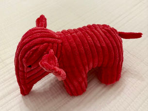 A Reminder of The Pink Elephant