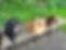IMG_2844.jpeg