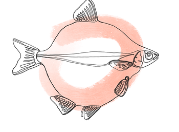 round.PNG