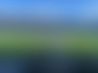 David Moyes - The Right Man For Everton?