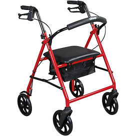 Drive Medical Rollator with 6" wheelcs