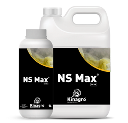 NSMax.png
