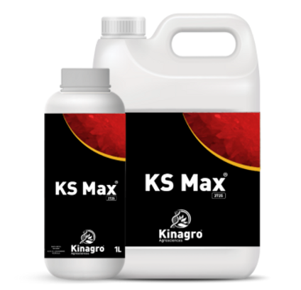 KSMax.png