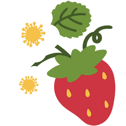 Ilustração de morango com  duas flores