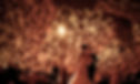 Wedding Lighting Rental Greenville South Carolina