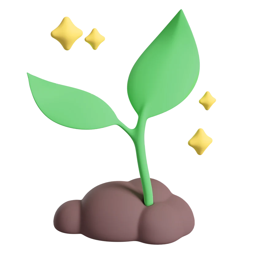 About Us Walnut Coding