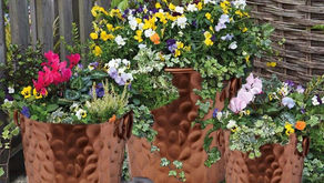 Spring Home Makeover - Easy Ways to Upgrade Your Interior Decor in Style!