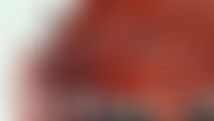 Decorate Your Dream Home without Spending a Fortune