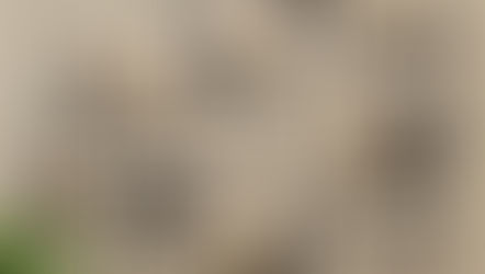 Best Luxury Home Accessories to Give Your Home A Makeover!