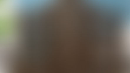 Elegant Room Divider Screens that will benefit your Living Space